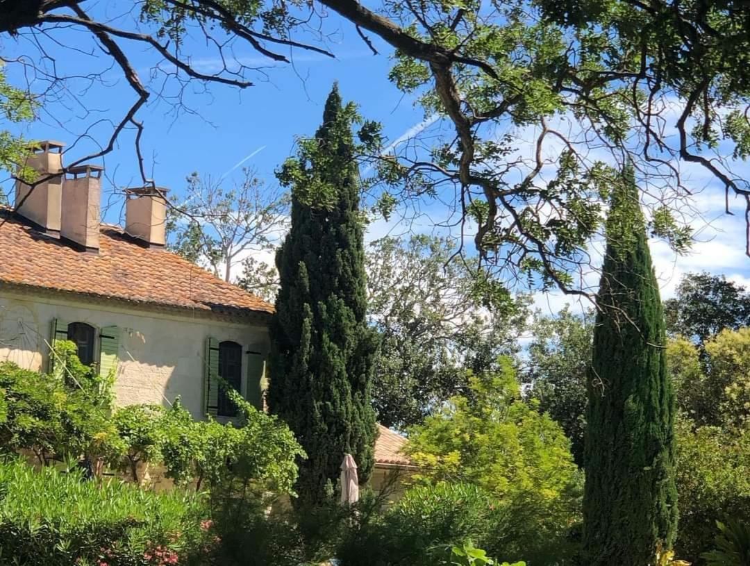 Le Mas Neuf 1752 Arles Exteriör bild